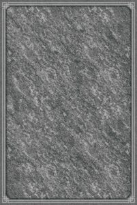 NPG46601