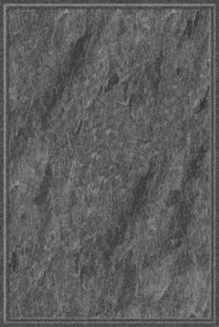 NPG46603