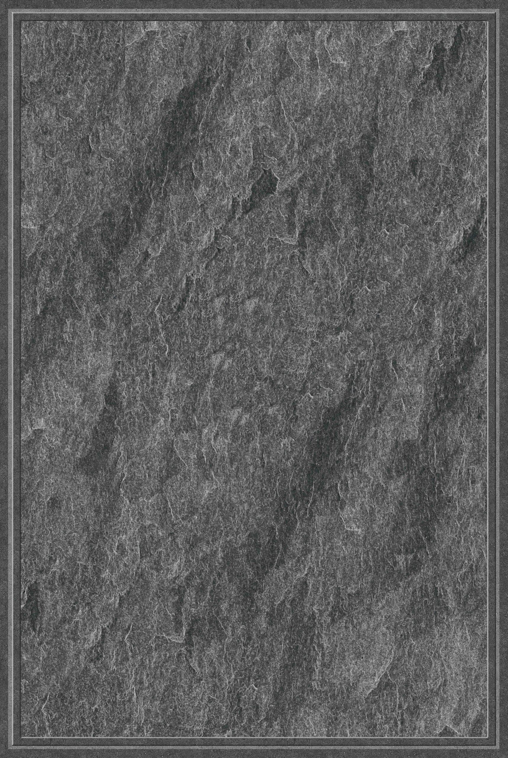 NPG46603