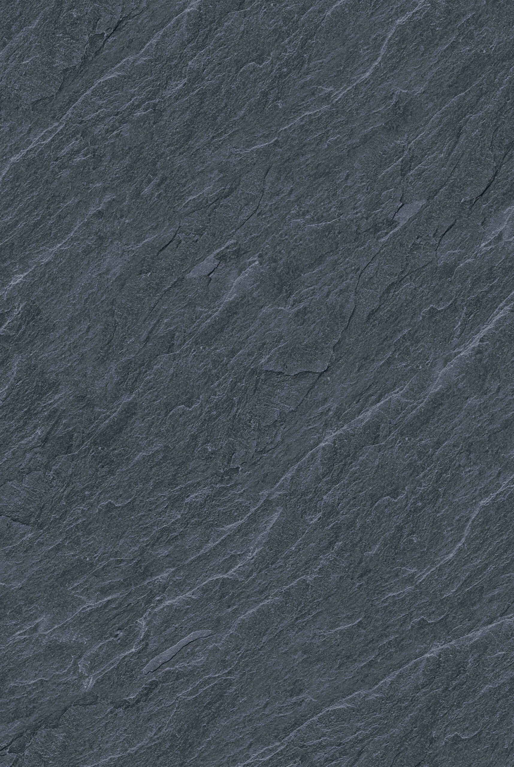 NPG46605