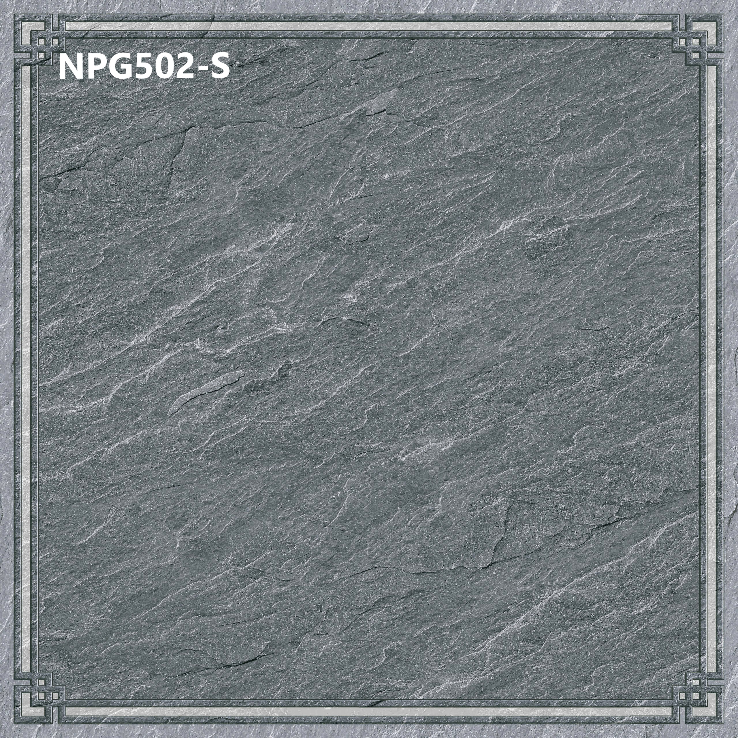 NPG502-S