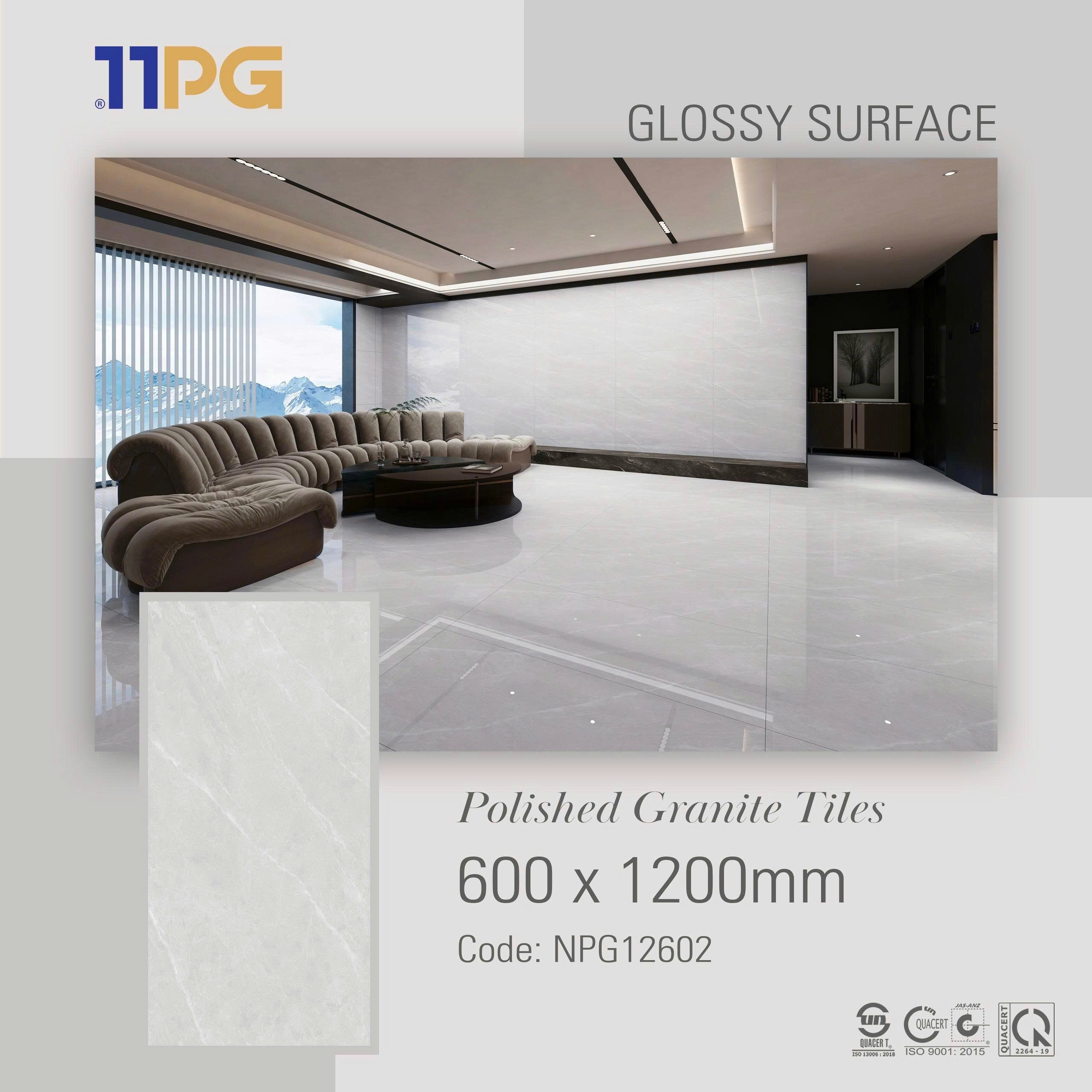 NPG12602