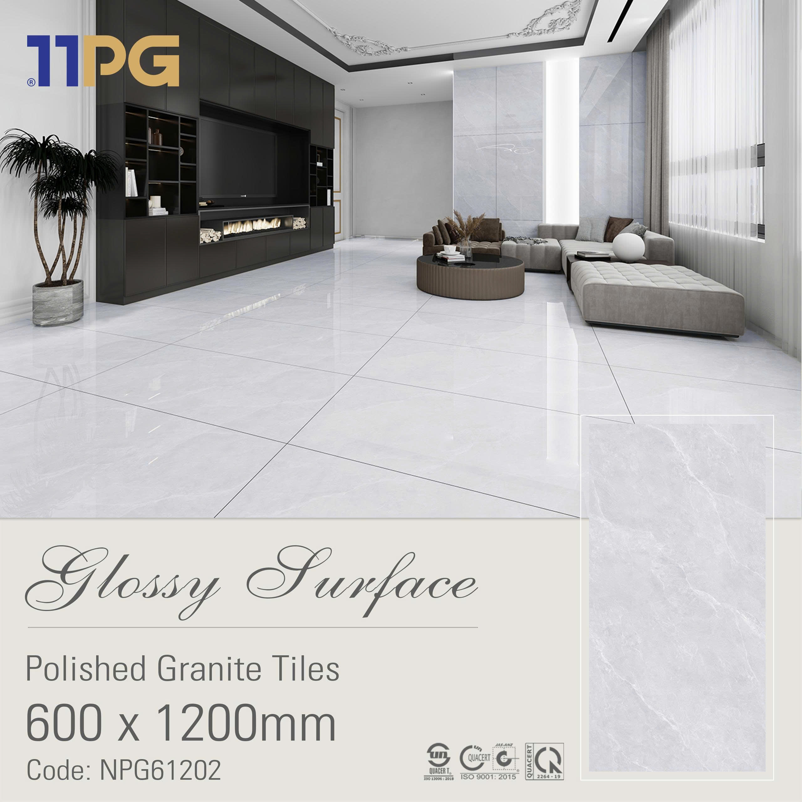 NPG61202